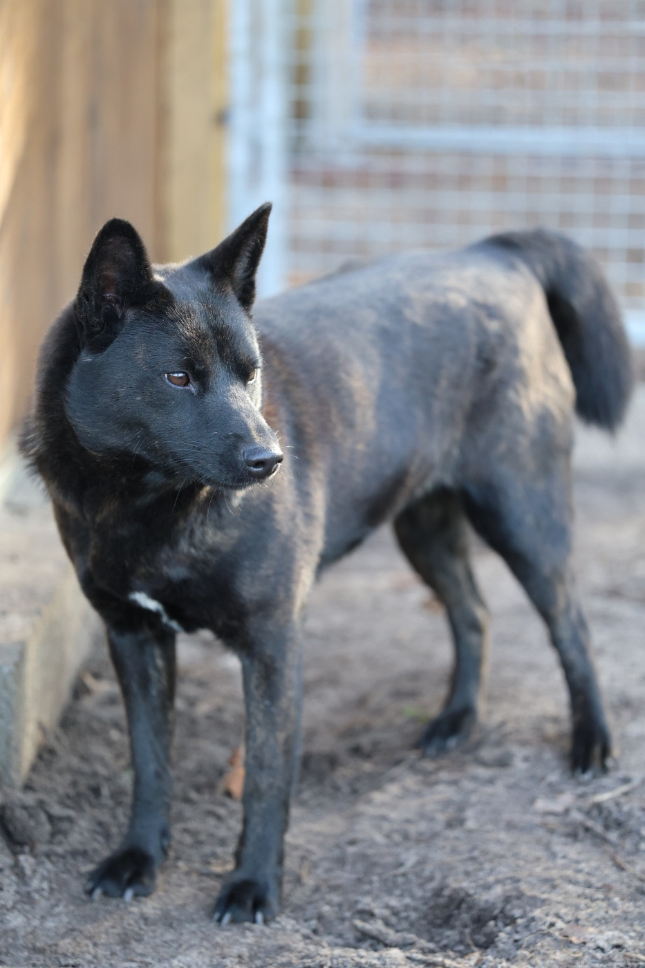 Kagura go fuurinkazan