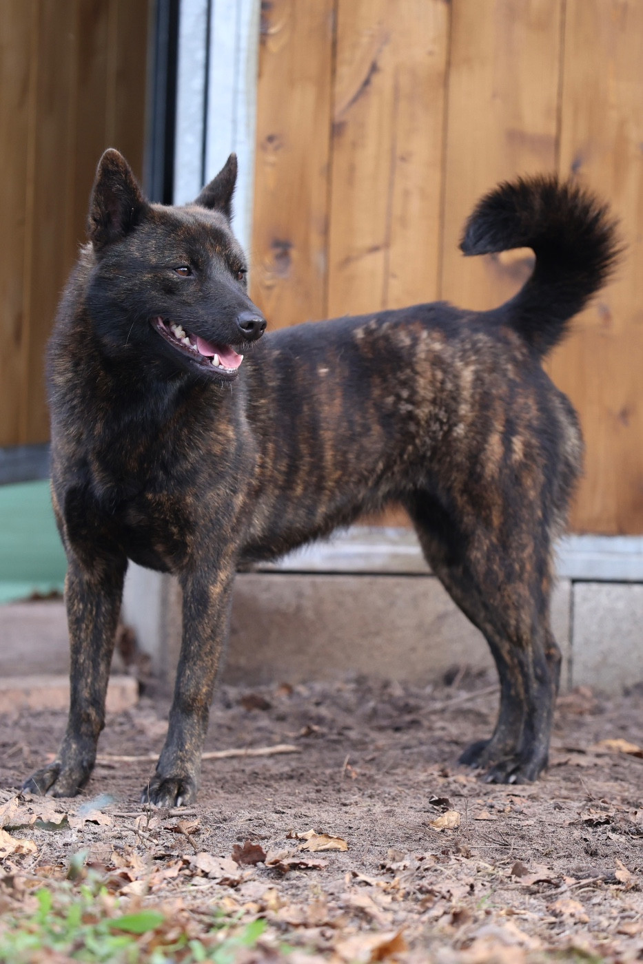 Nippon'ai Ui kouseki go