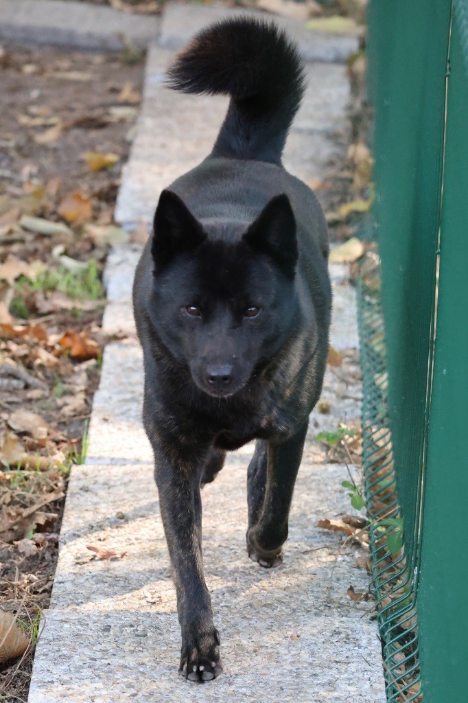 Kagami aki kanmu go proud fci