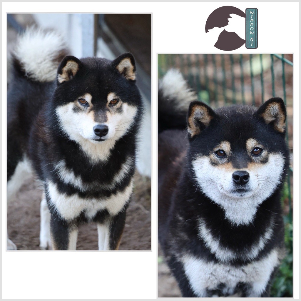 Naissance pour Fin Janvier 2026